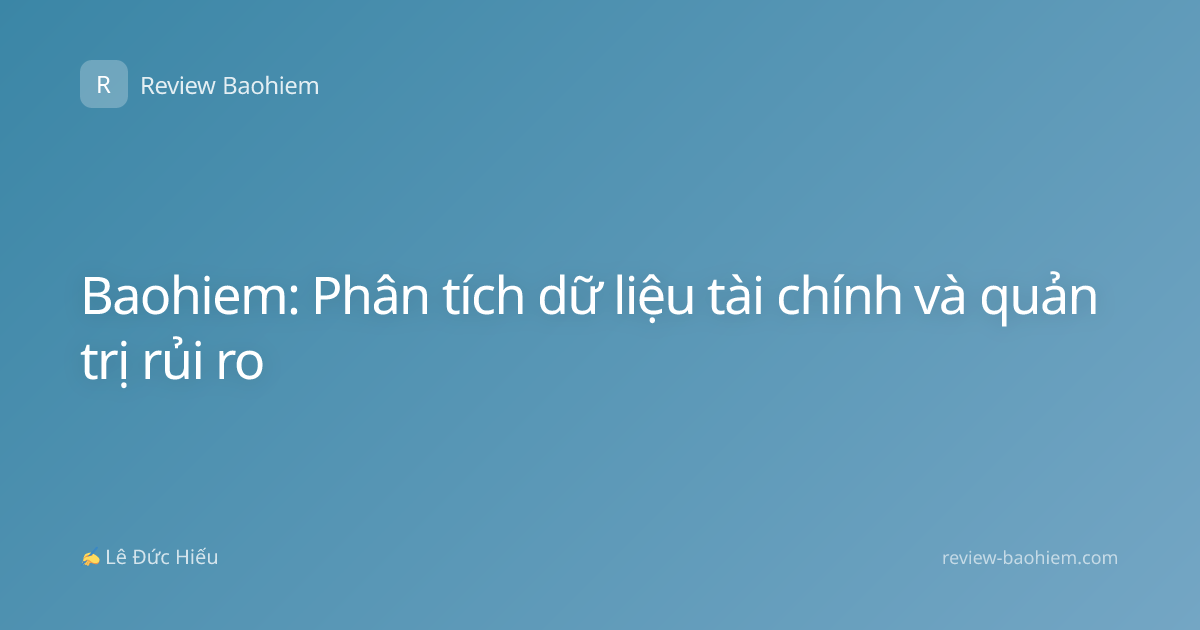 Baohiem: Phân tích dữ liệu tài chính và quản trị rủi ro